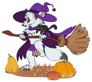 Finn the Meowmancer! by Birdpup