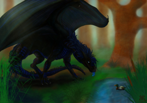 Xylex by Reverse
