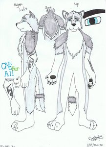 Wing Wolf Fursuit V2 Part.1 by wonghusky2