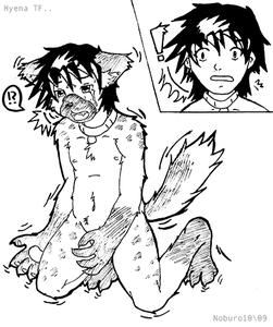 Hyena Collar by Kirou