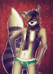 Nice Undies by Sebby