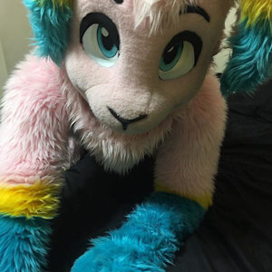Hai by zamorapaw