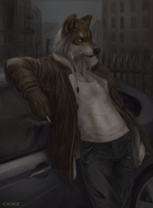 Gray Skies by chunie