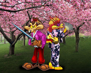 つのコヨーテ、桜 by mreiof