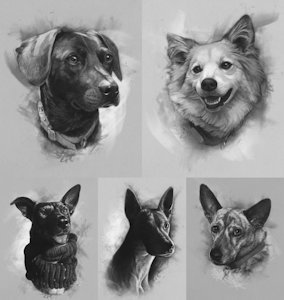 Pet sketches #2 by Kannart