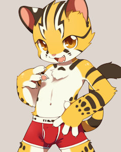 New 	briefs. by unrealplace