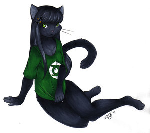 Kitani Commission - Sleek and Black by Malachyte