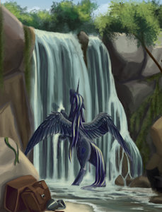 Bathing of black mare by Beltar