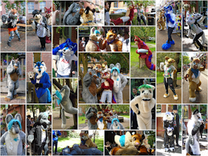 MancFurs Meetup Photos 12-08-2017 by scarmet