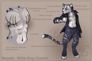 Masada Refsheet by KitFoxFire by Masada
