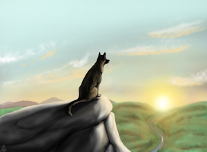 For Kane... by DangerDoberman