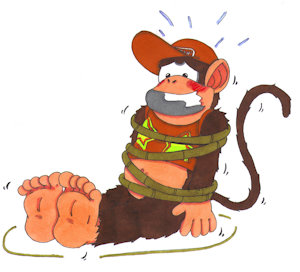 Captured: Diddy Kong by KnightRayjack