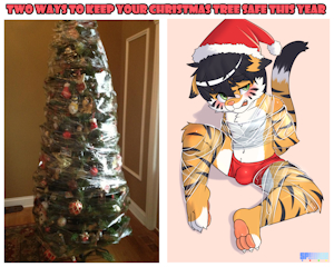 Wrap Cat!?!? by Spunkie