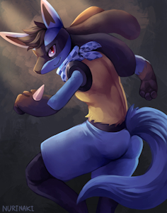 [C] PKLucario by Nurinaki