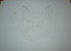 First fox - First drawing by tilla13