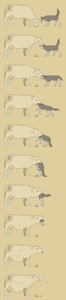 carnivorous cow by CausationCorrelation