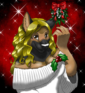 Happy Holidays guys!  by sukiwolfram