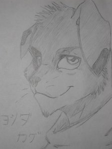 Hardcore Furry mascot contest entry one by HardcoreFurry