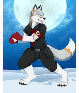 Gift Art #9 by starfoxACEFOX