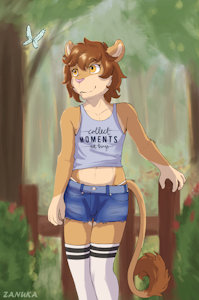 Lion moments by zanuka