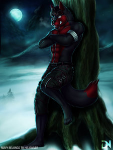 A Winters Night - Commission for Mavy by DreamAndNightmare