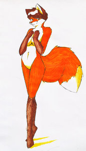 Marker Fox by StarFighter