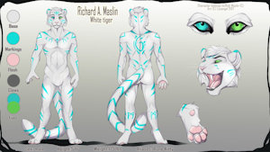 Ref sheet by RuneKitty