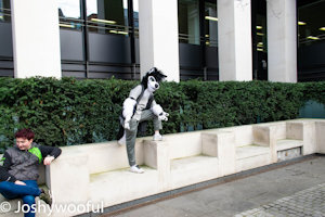 Cody at LondonFurs 304 by Joshywooful