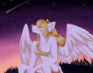 The Night Sky by WereFox