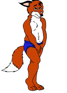 Fox Pose Colour by Pablo00726