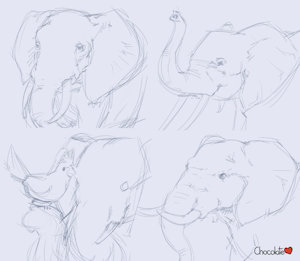 Elephants practice by ChocolateKitsune