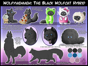 Wolfymewmew Ref Sheet 2017 by wolfymewmew