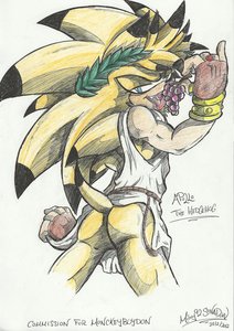 Commission: Apollo the Hedgehog by Mimy92Sonadow