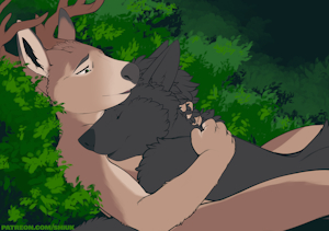 The Deer and the Wolf by Shiuk