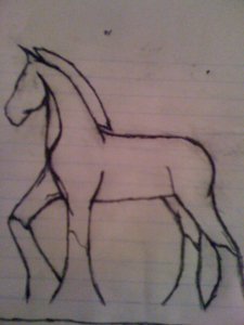 nemo horse by amberm1992