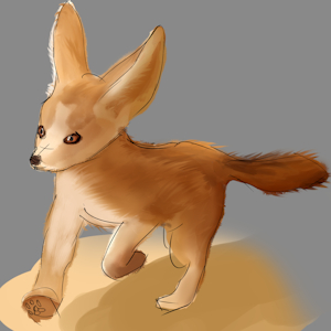 Fennec by SummonerOfPigs