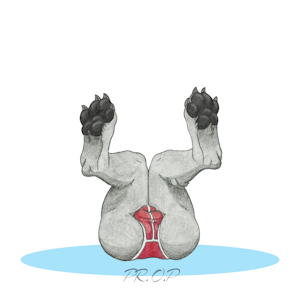 On display by PrintedOnPaper