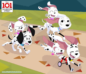 [101] Racing by PlayZone