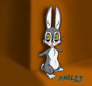 Introducing Marbles the Rabbit by Marbles
