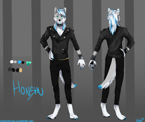 Character sheet by Honshu