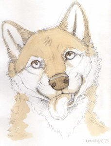 EF25 com from Kikonine- Coffee art by Kooskia
