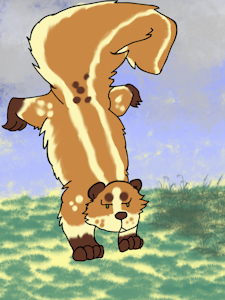 Skunk handstand by Lafayette