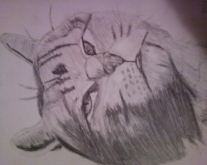 04 april, 2012 drawing by Kiokuffiib11