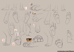 Paws by Shiuk