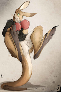 Renegade Kangaroo Badge by Lizet