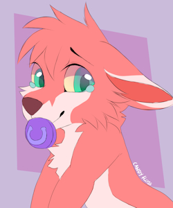 Am I cute? by CandyFlossFox