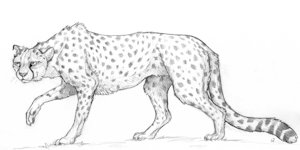 Kiburi by Jul - Golden Leaves Con sketch commission by Kooskia