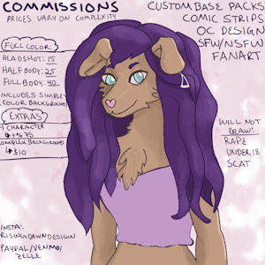 Commission Info by RisingDawnDesign