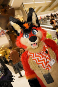 MFF 2019 by discorat