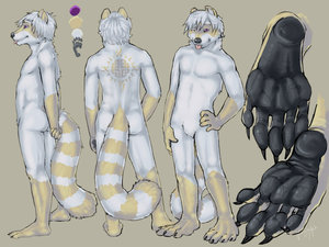 Shiro character sheet by Fuzzypaws
